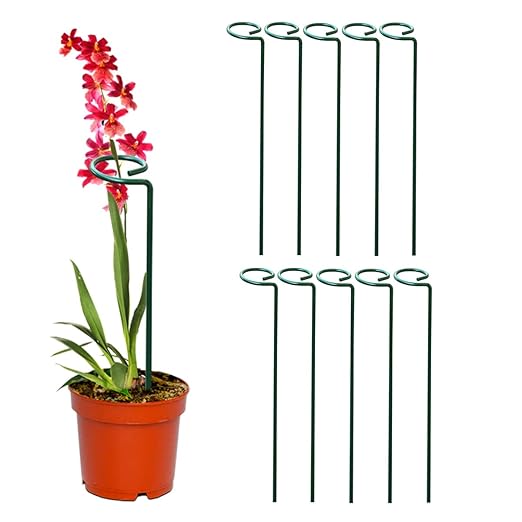 Sellerfoster 2 Pcs Plant Support Stake | Durable Garden Plant Support for Pots & Climbing Plants | Reusable Plant Stand for Indoor & Outdoor Use